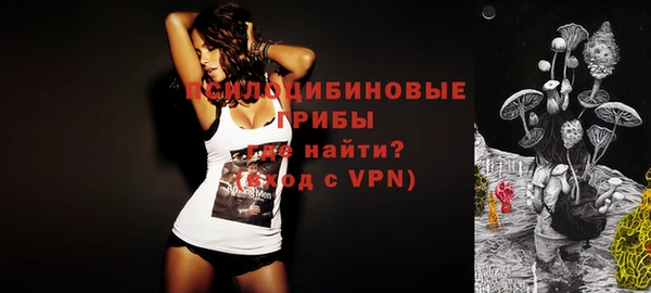 крисы Володарск